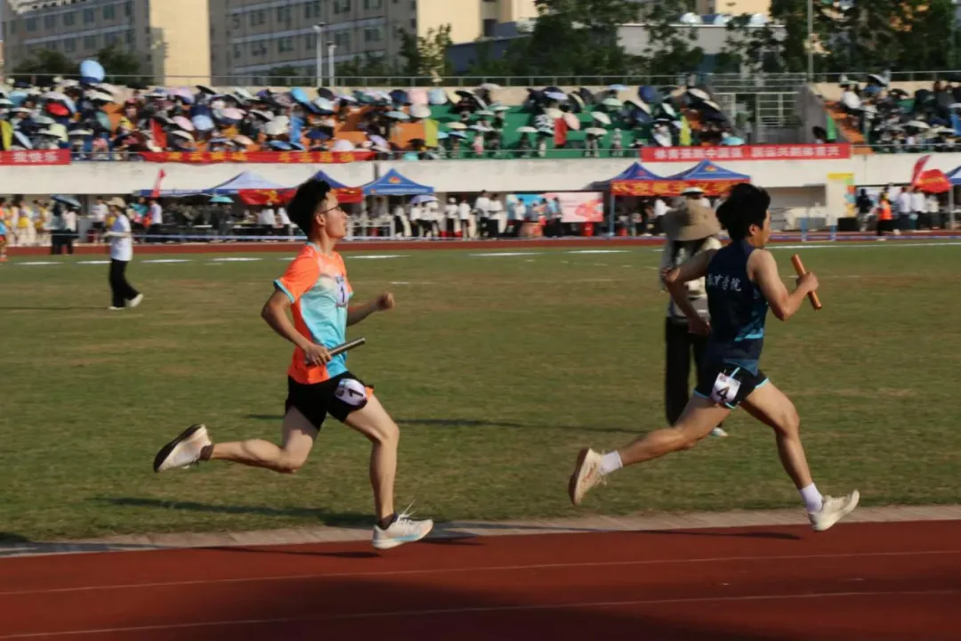 1735194194788890.png 图片24.png