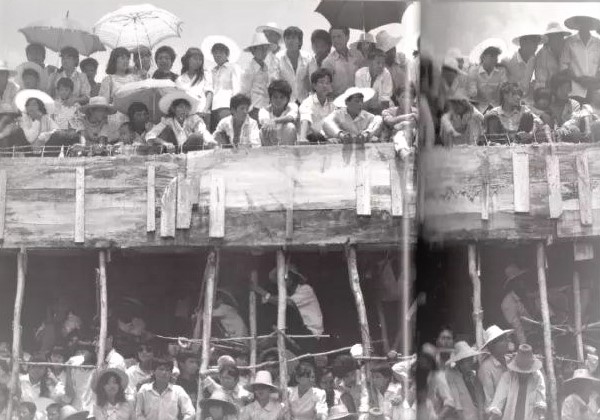 1573286713450550.jpeg 百万人才下海南.jpeg