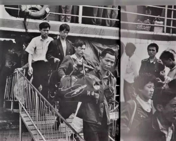 1573286695446164.jpeg 农民工渡海而来.jpeg