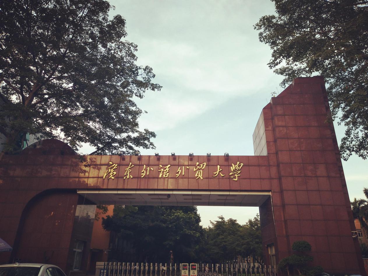 1562511617729160.jpg 1.jpg