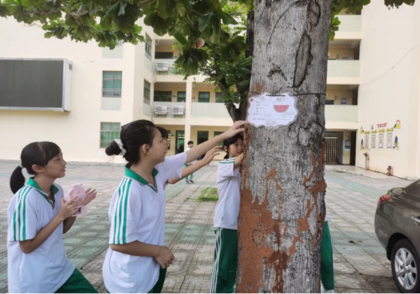 1630848325100534.png image.png