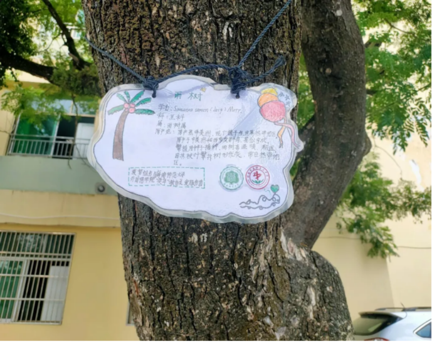 1630848105607991.png image.png