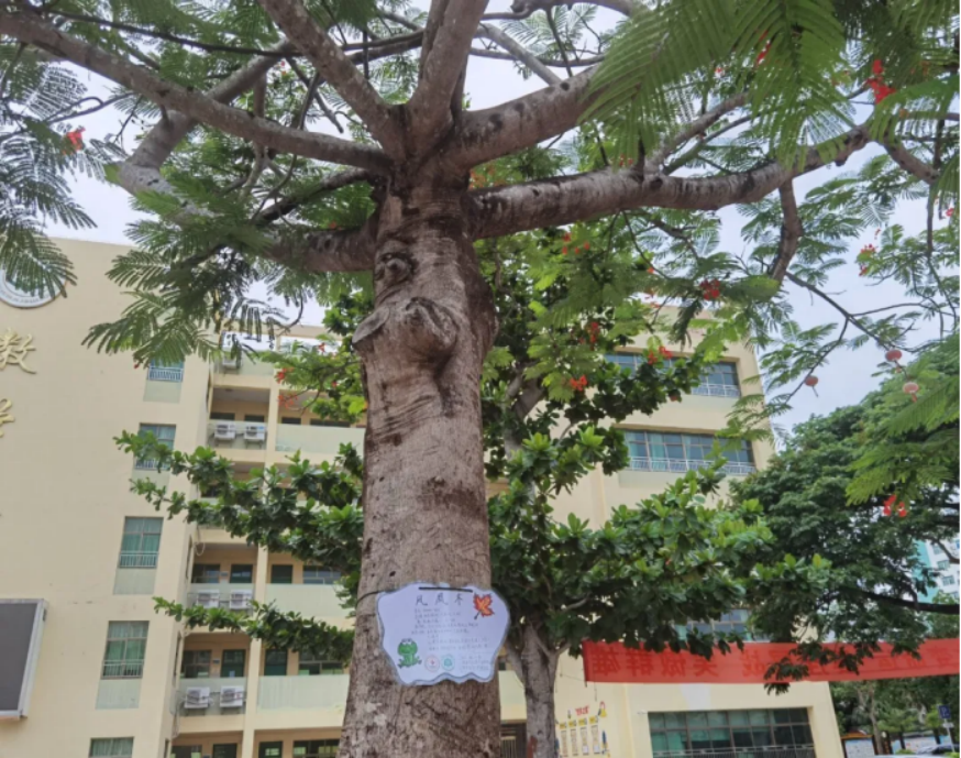 1630848167386018.png image.png