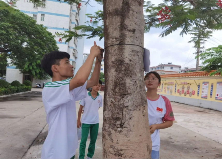 1630848371855830.png image.png