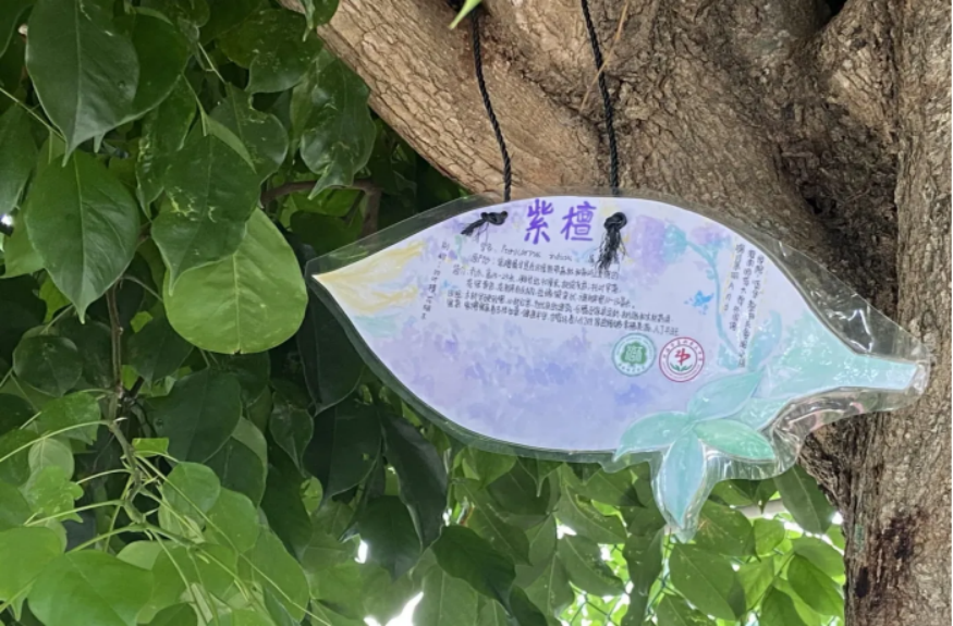 1630848128670445.png image.png