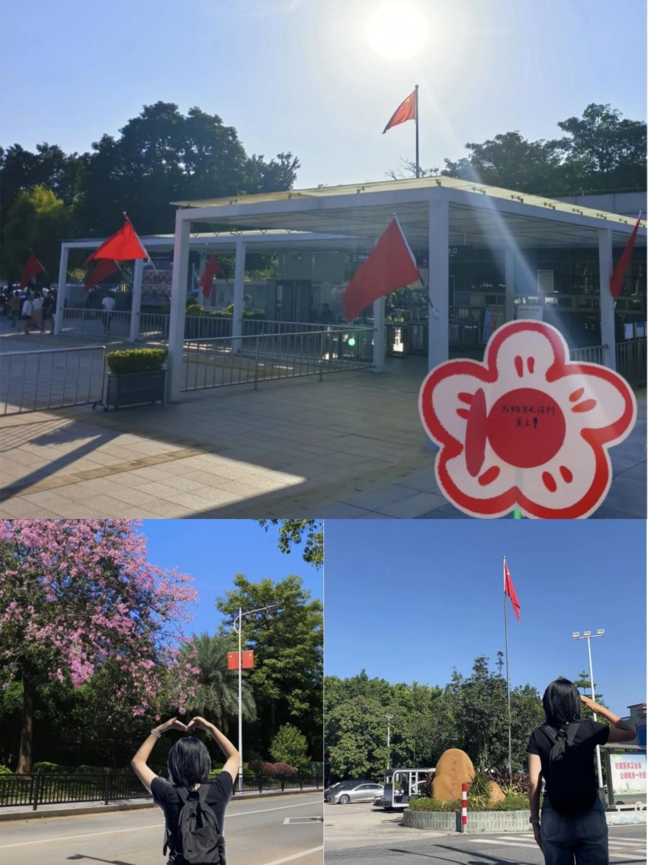 1728882472178503.jpg 7975c5b5daa26cec46bdef6d5271c92.jpg